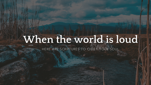Quiet The Noise