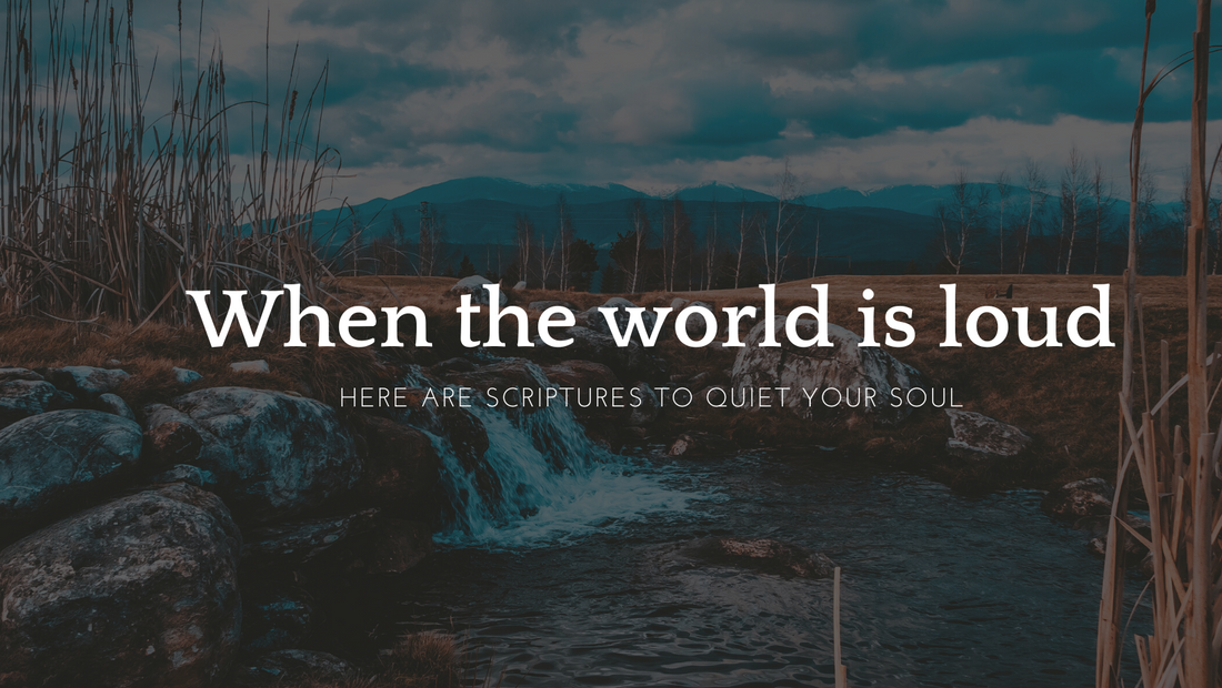 Quiet The Noise